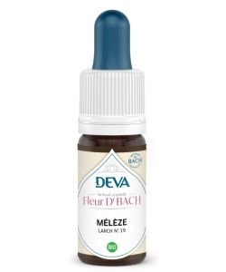 Mélèze (Larch - N°19)